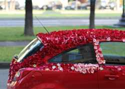Лепестки роз в авто